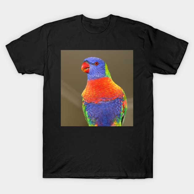 Rainbow Lorikeet T-Shirt by Michaelm43